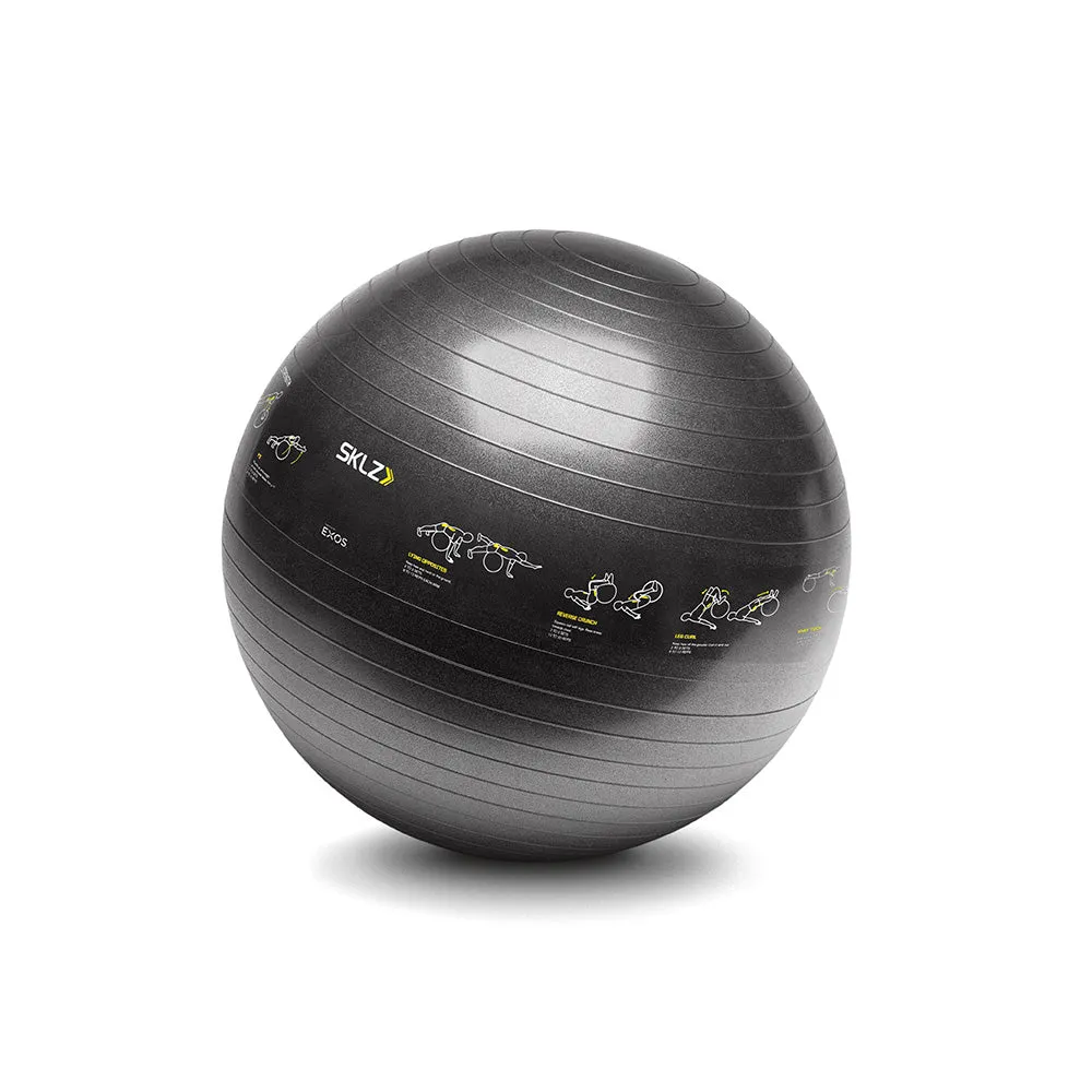 SKLZ Fitness Trainer Swiss Ball 65cm (With Exercise Images)